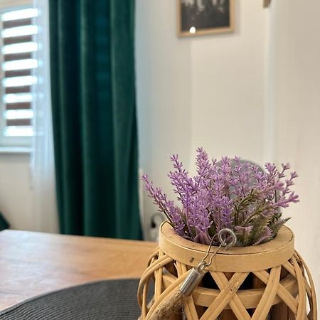 Apartament Zielony Kollataja Tomaszów Mazowiecki Kültér fotó