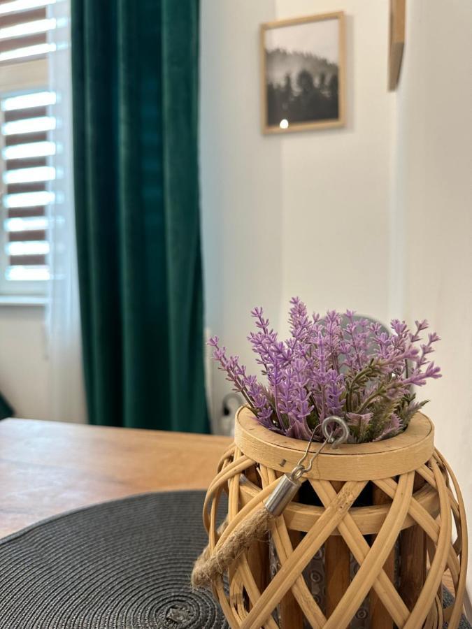 Apartament Zielony Kollataja Tomaszów Mazowiecki Kültér fotó